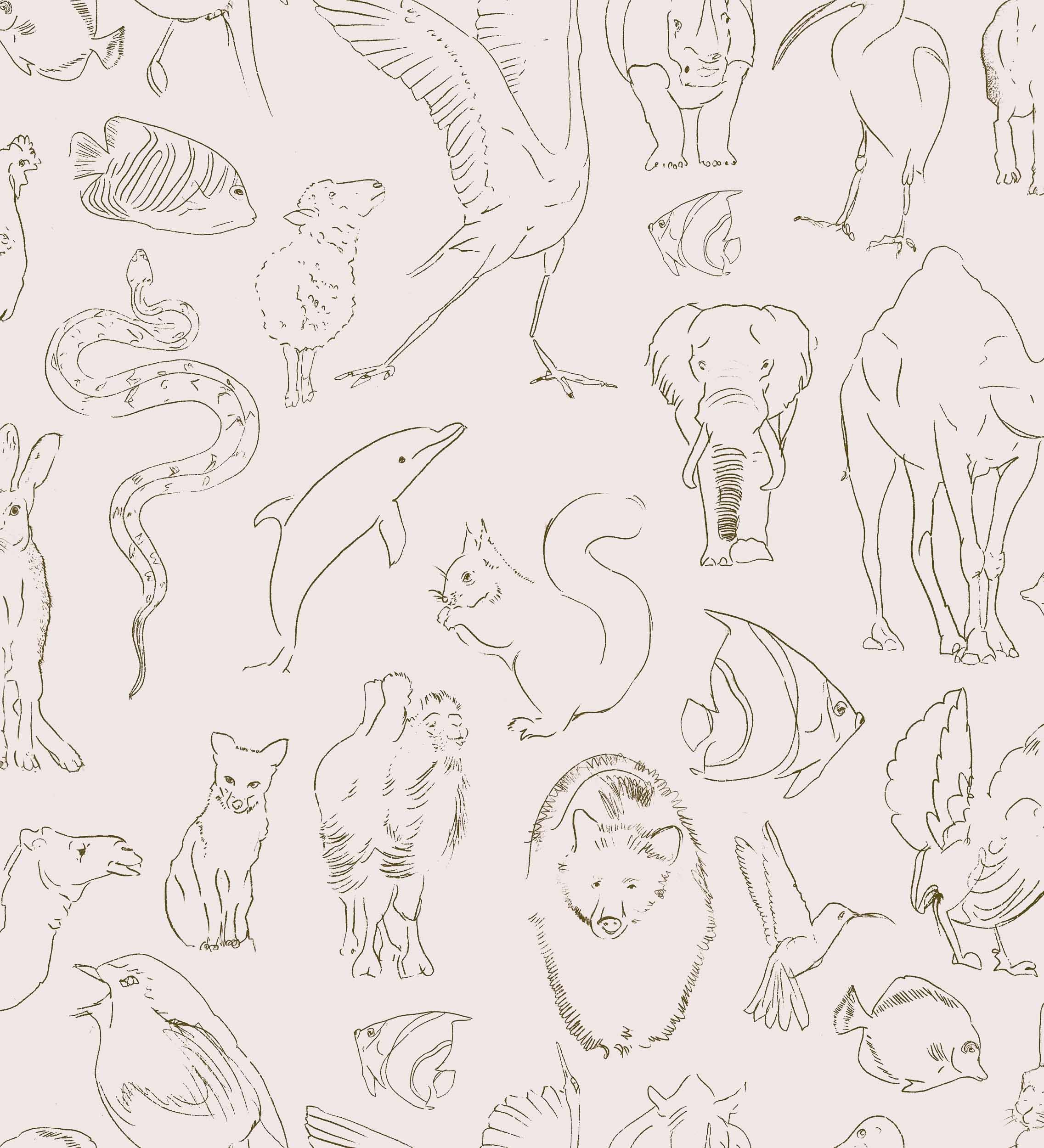 Zoology, Natural, Coordonne 5mp / rola